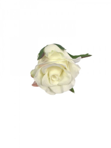 Róża główka 5 cm kremowa z jasną zielenią