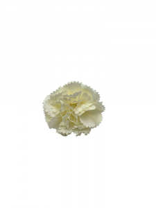 Goździk kwiat wyrobowy 3 cm biały
