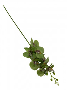 Storczyk kwiat pojedynczy 85 cm zielony
