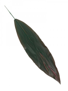 Liść 55 cm zielono fioletowy
