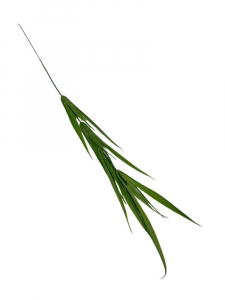 Trawa plastikowa 62 cm zielona