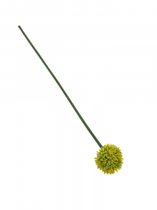 Czosnek kwiat pojedynczy 38 cm żółty