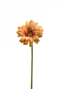 Gerbera kwiat pojedynczy 46 cm brzoskwiniowa