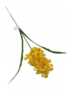 Hiacynt kwiat pojedynczy 52 cm żółty
