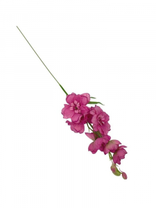 Ostróżka kwiat pojedynczy 44 cm głęboki róż