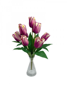 Tulipany bukiet 47 cm purpurowo kremowe