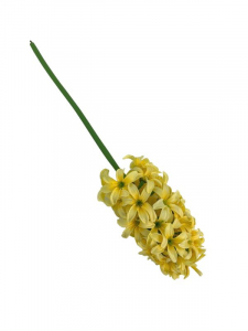Hiacynt gałązka 40 cm żółty