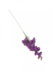 Ostróżka kwiat pojedynczy 44 cm fioletowa