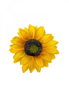Słonecznik główka 13 cm żółta