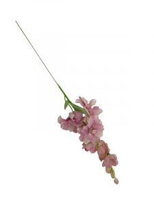 Ostróżka kwiat pojedynczy 44 cm pudrowy róż