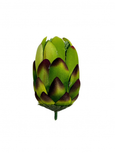 Protea główka wysokość 10 cm zielona