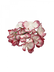 Hortensja kwiat wyrobowy 13 cm kremowa z różowymi obrzeżami