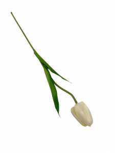 Tulipan kwiat pojedynczy 42 cm kremowy