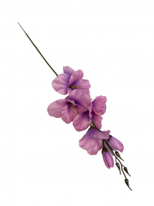 Mieczyk gałązka 53 cm różowo fioletowy
