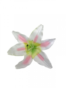 Lilia kwiat wyrobowy 20 cm kremowo różowa