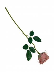 Róża pojedyncza gałązka 48 cm brudny róż