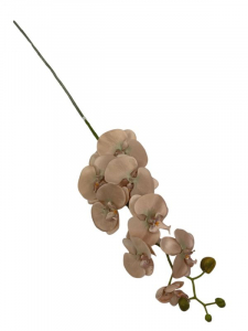 Storczyk kwiat pojedynczy 98 cm cappuccino