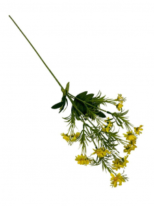 Rumianki gałązka kwitnąca 70 cm żółte