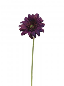 Gerbera gałązka 46 cm purpurowa