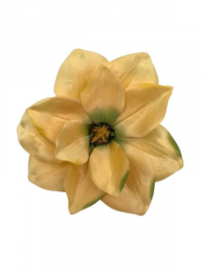 Magnolia główka 22 cm żółta