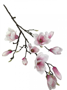 Magnolia gałązka 88 cm różowa
