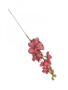 Ostróżka kwiat pojedynczy 44 cm różowa