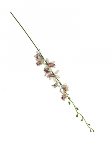 Storczyk tajlandzki 70 cm biało różowy