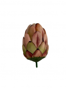 Protea główka wysokość 10 cm brudny róż i brąz