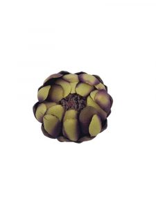 Protea kwiat wyrobowy 14 cm ciemna purpura z oliwką