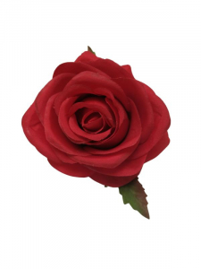Róża główka 10 cm głęboka czerwień
