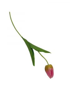 Tulipan kwiat pojedynczy 50 cm różowo złoty