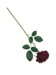 Róża pojedyncza gałązka 48 cm bordo