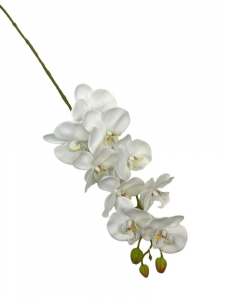 Storczyk gumowany kwiat pojedyczny 100 cm biały