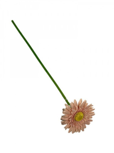 Gerbera gałązka 49 cm brudny róż