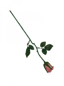 Róża gałązka 35 cm brudny róż