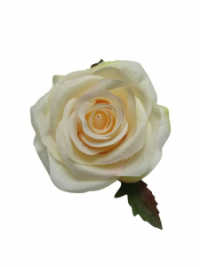 Róża główka 10 cm kremowa