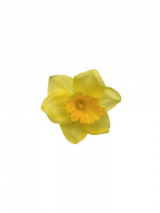 Żonkil kwiat wyrobowy 6 cm żółty