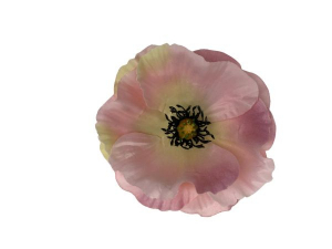 Mak kwiat wyrobowy 10 cm różowy