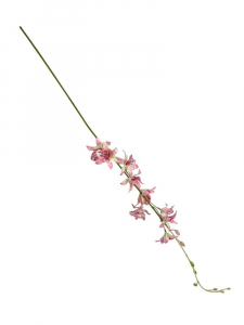 Storczyk tajlandzki 70 cm jasno różowy