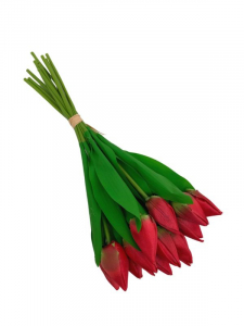 Tulipan wiązka 36 cm czerwony