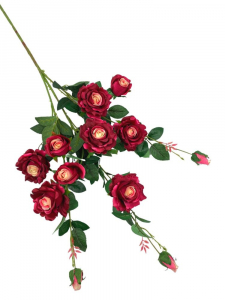 Róża gałąź wielokwiatowa 105 cm ciemny róż