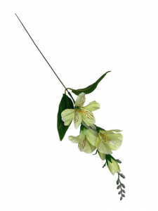 Astromeria gałązka 54 cm jasno zielona
