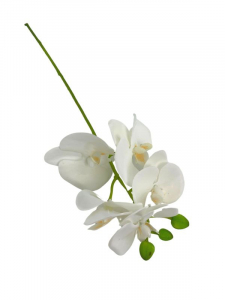 Storczyk kwiat pojedynczy 37 cm biały z żółtym środkiem
