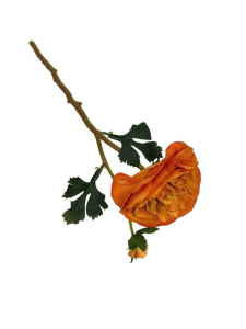 Pełnik kwiat pojedynczy 35 cm pomarańczowy