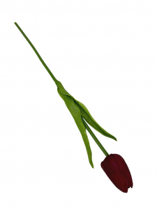 Tulipan z pianki 45 cm bordowy