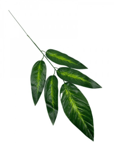 Liść mango 56 cm zielony