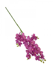 Storczyk gałązka 73 cm fioletowy z nakropieniami