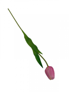 Tulipan kwiat pojedynczy 42 cm różowy