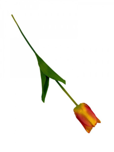 Tulipan 61 cm żółto czerwony