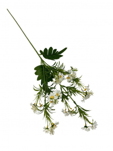 Rumianki gałązka kwitnąca 70 cm białe